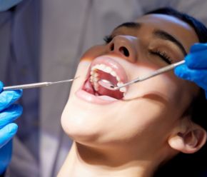 Picture for category Dental Products