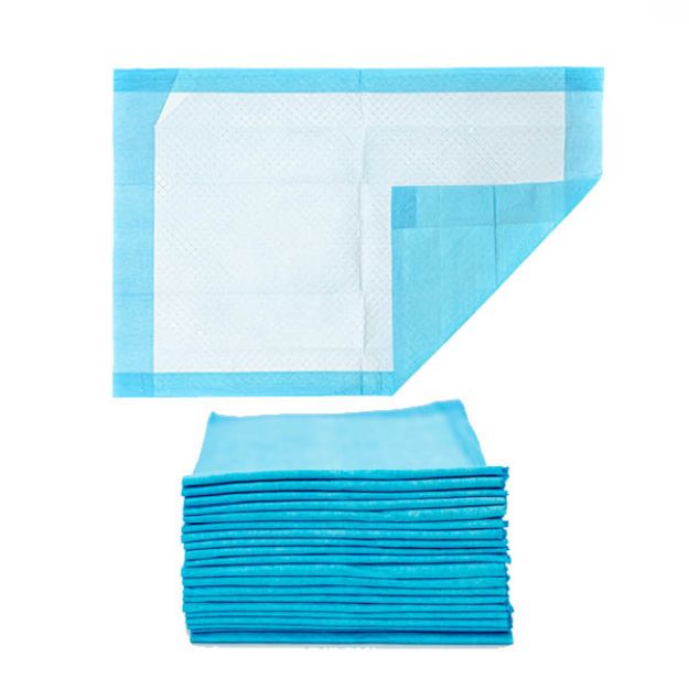Picture of Underpads PE Back Sheet 17X12in Essential Cares 100Pc/Bg 5Bg/Cs