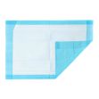 Picture of Underpads PE Back Sheet 17X24in Essential Cares 75Pc/Bg 4Bg/Cs